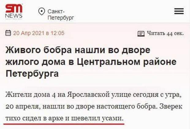 Смешные и непонятные заголовки из СМИ