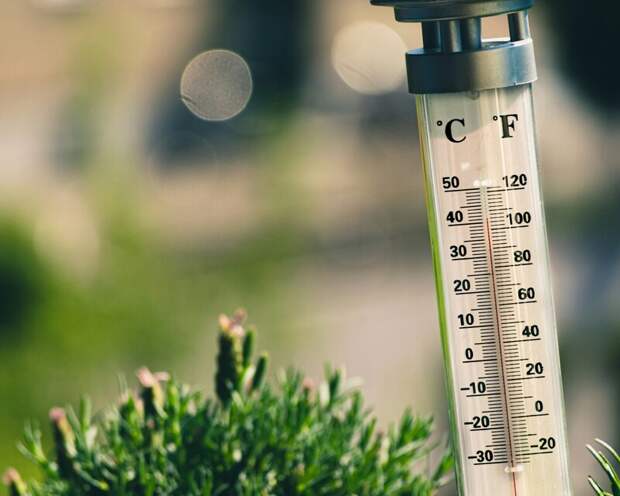 Погода в Самарской области снова меняется: жара вернется в июле