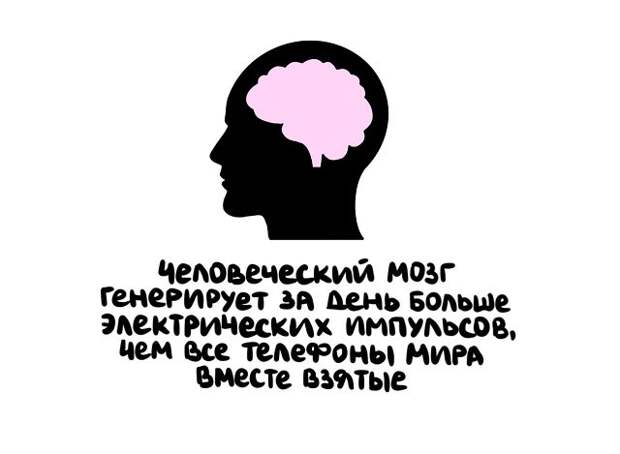 Интересные факты на все случаи жизни