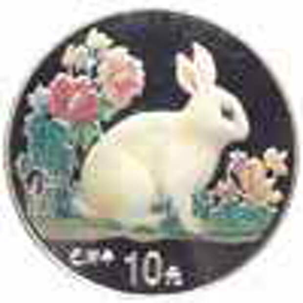 China color rabbit coin