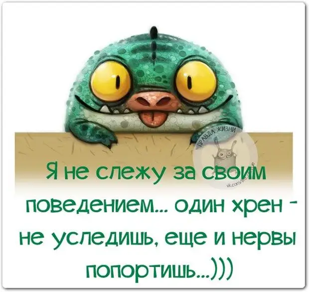 Картинки в статус в ватсап позитивные