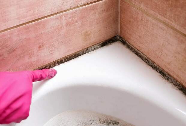 Без агрессивных средств и жестких щеток: чем отмыть плитку и швы от грибка