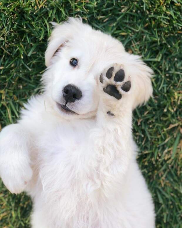 Hi There