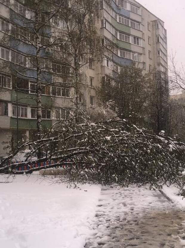 Синоптик Александр Шувалов сообщил, что в Москве пик снегопада пройден