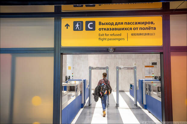 Как выглядит новый терминал C в Шереметьево