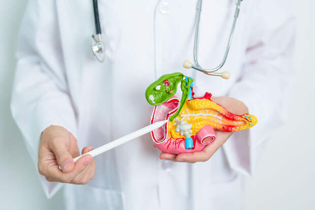 PNAS: неприятные ощущения в спине могут указывать на рак поджелудочной