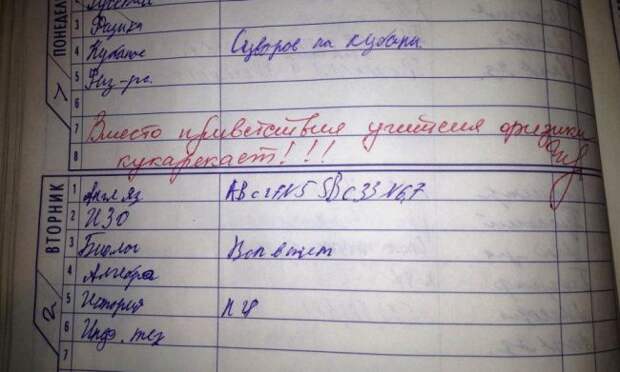 Уморительные замечания в школьных дневниках дневник, школа, замечания