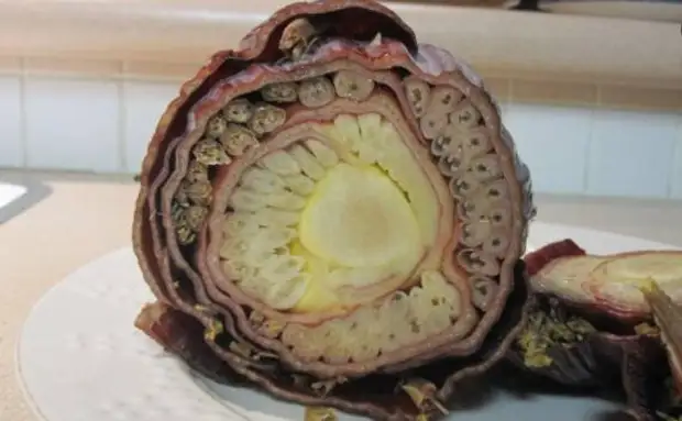 12 фото вещей внутри и в разрезе: от подлодок до 4-го блока ЧАЭС