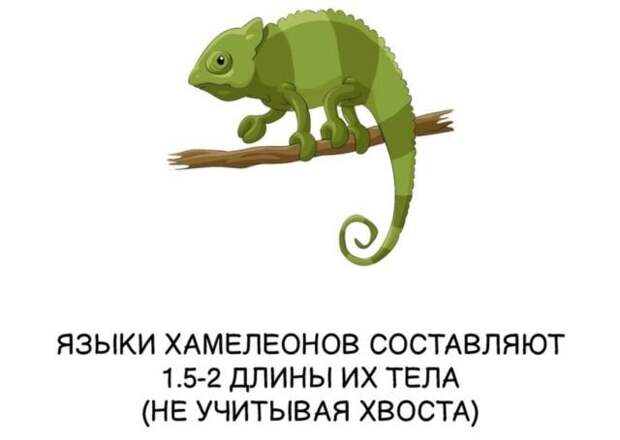 Интересные факты на все случаи жизни