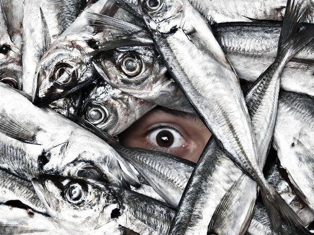 Ихтиофобия - боязнь рыбы. вкусно, курорты, отдых, страхи, страшно, фобии
