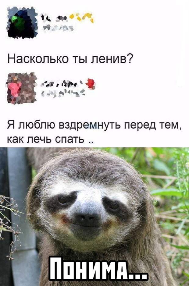 www.vsyako.net