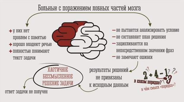 лобнаяИСПРАВЛЕНО.jpg лобнаяИСПРАВЛЕНО.jpg