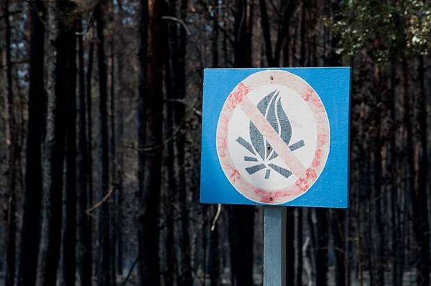 Россиян предупредили о тюремном сроке за костер в лесу