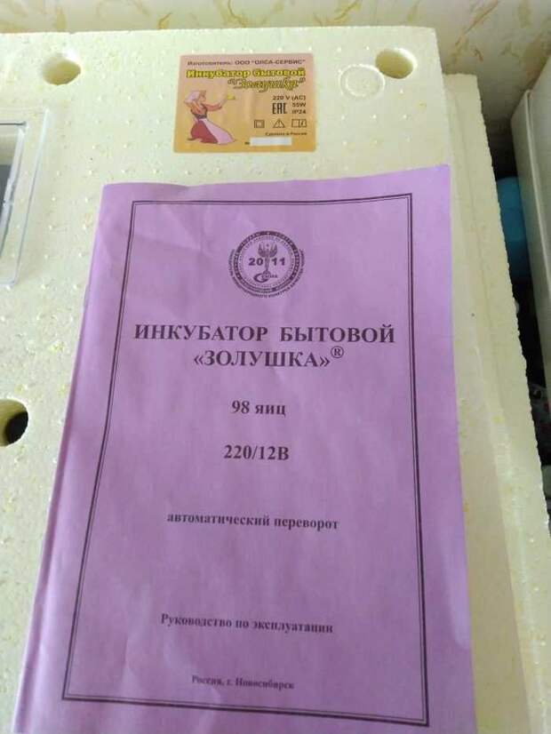 Женщина купила перепелиные яйца и решила поместить их в инкубатор. Очень скоро ее ждал сюрприз