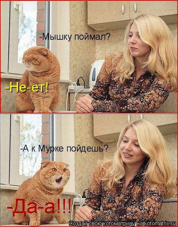 Котоматрица. Мысли вслух :)