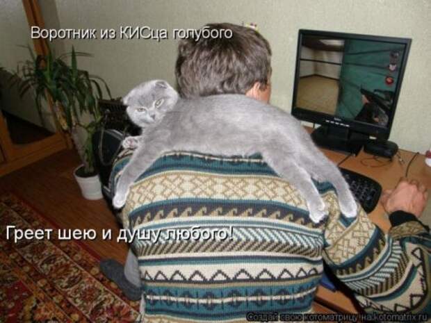 Пятничная котоматрица