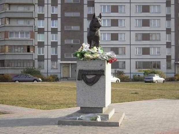 Памятник преданности. г. Тольятти. тольятти, памятник, овчарка