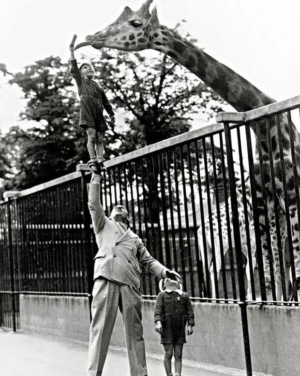 Известный американский силач Пол Ремос с сыном в зоопарке, 1930-е интересно, исторические кадры, исторические фото, история, ретро фото, старые фото, фото