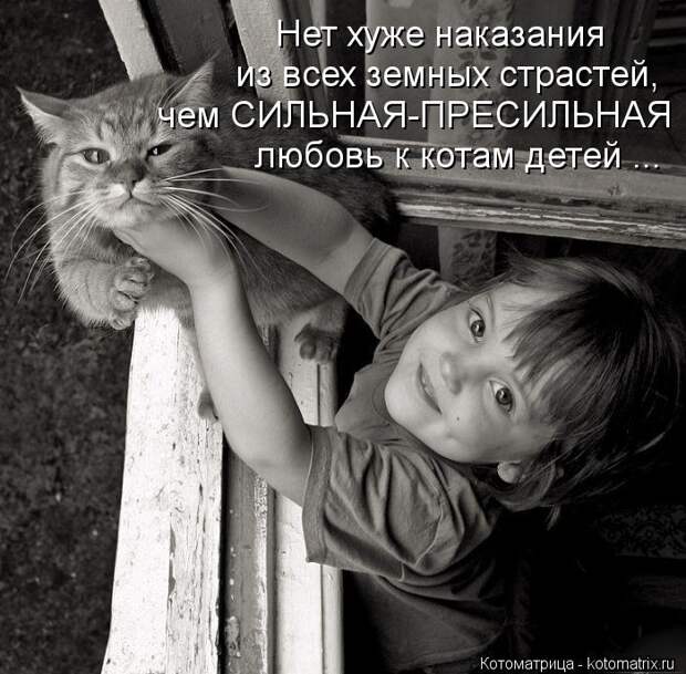 Котоматрица: Нет хуже наказания из всех земных страстей, чем СИЛЬНАЯ-ПРЕСИЛЬНАЯ любовь к котам детей ...