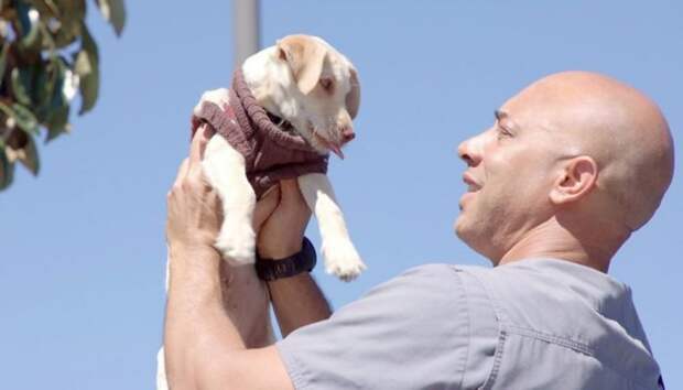 Ветеринар из США бесплатно лечит животных