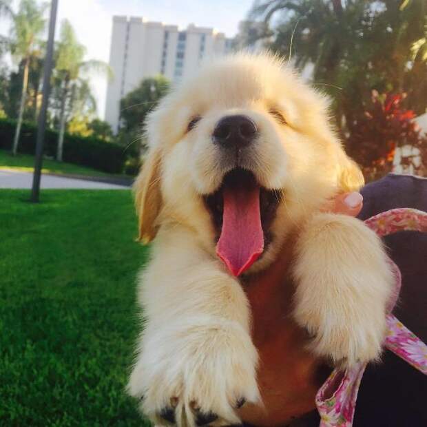 Early Morning Walks Are Overrated