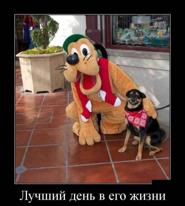 Демотиваторы (30 фото)
