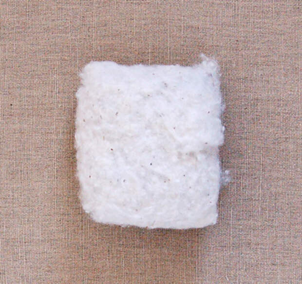 dekorativnye-igolnitsy-41