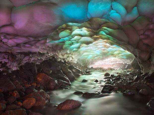 Лучшие фотографии от National Geographic за 2012 год national geographic, дикая природа, животные, лучшие фотографии, природа