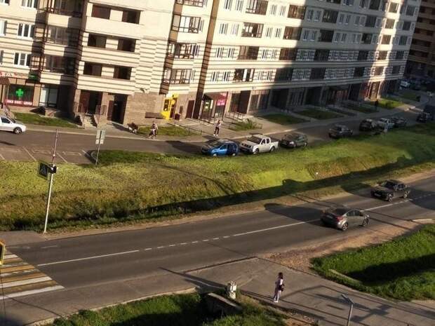 Газон за сутки. Ноу-хау Газон за сутки. Ноу-хау