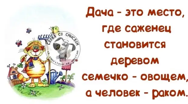 То это место для вас. Дача - это место, где. Дача это место где саженец становится. Дача это место где саженец становится деревом. Дача шутки приколы.