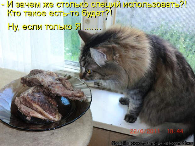 kotomatritsa_- (700x524, 388Kb)