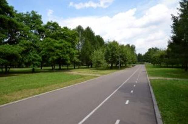 Врачи предупредили москвичей об опасности укусов комаров. Фото: Анна Быкова