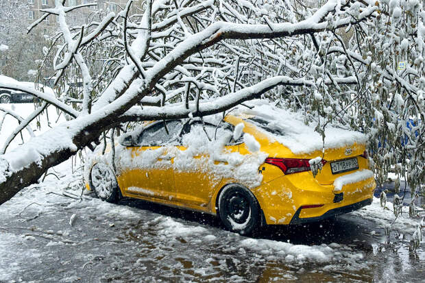 Экономист Абелев: снежный коллапс сильнее всего ударит по ценам на продукты