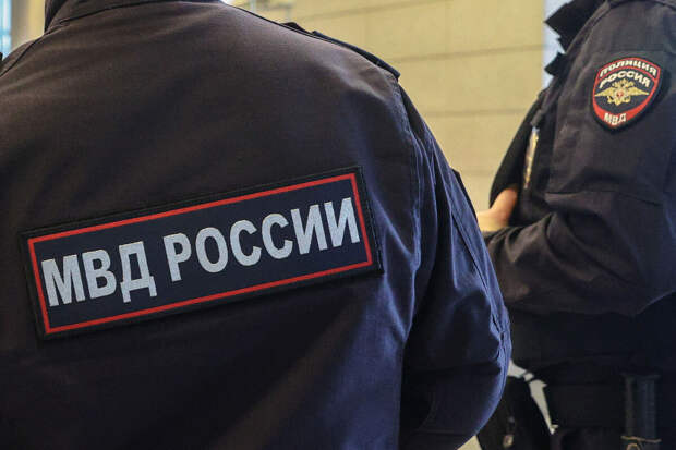 МВД: в Петербурге задержан мужчина, осквернивший государственный флаг