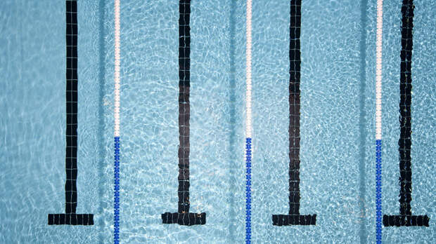 Шишин: сильнейших российских пловцов отправят на этапы Mare Nostrum перед чемпионатом Европы