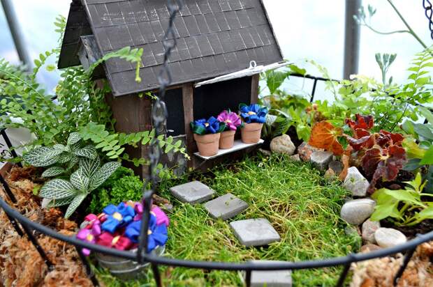 Ландшафтный дизайн участка: миниатюрные сады фей