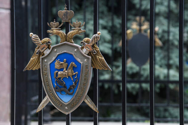 Появилось видео обнаружения тел жертв Богородского маньяка