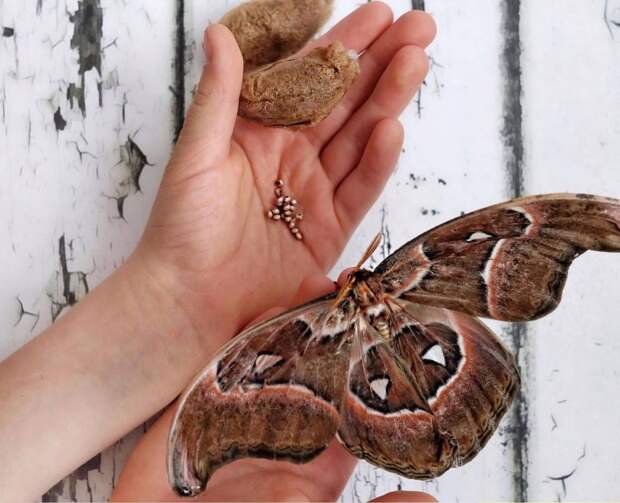 Screenshot_2025_09_05-5