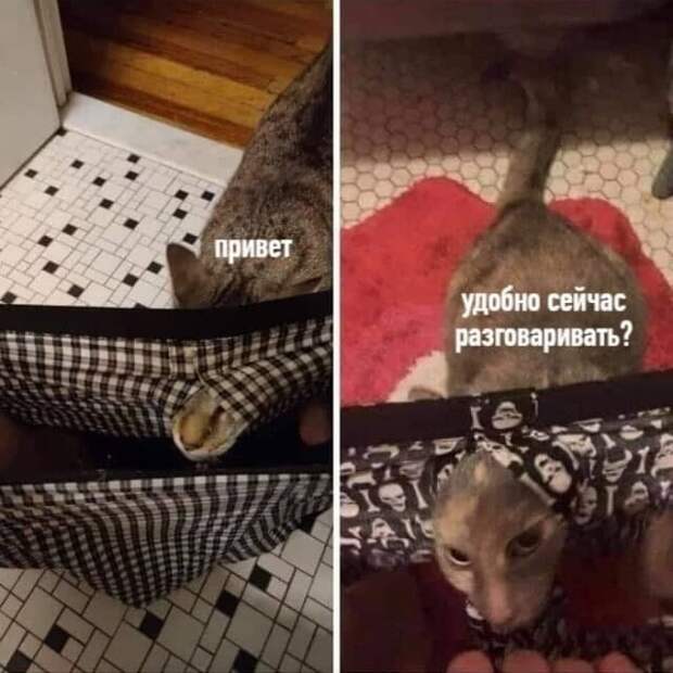 Удобно ?) Удобно ?)