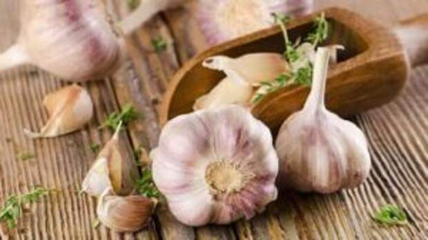 https://prolife.ru.com/wp-content/uploads/2018/09/what-will-happen-with-organism-if-often-eat-garlic_8_1529773011652-300x168.jpg