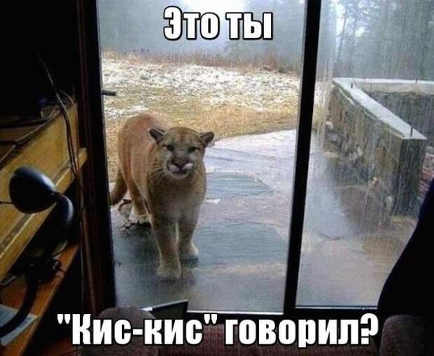 www.vsyako.net
