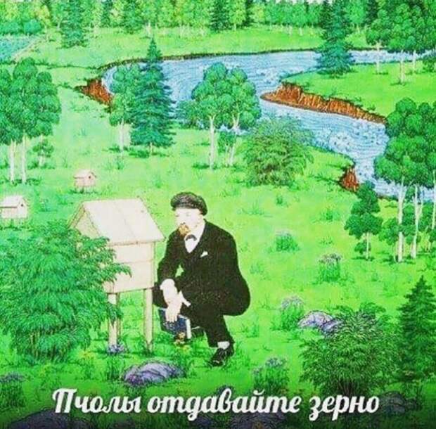 Нестандартный юмор
