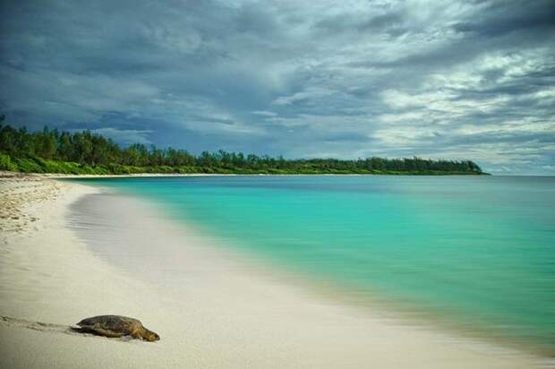 Beautiful Beaches (50 pics)