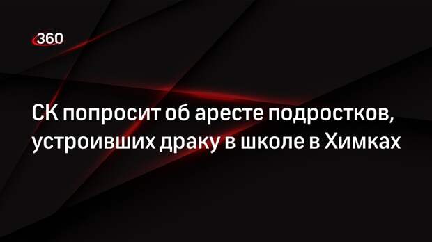 СК: следствие попросит об аресте устроивших драку в школе Химок подростков