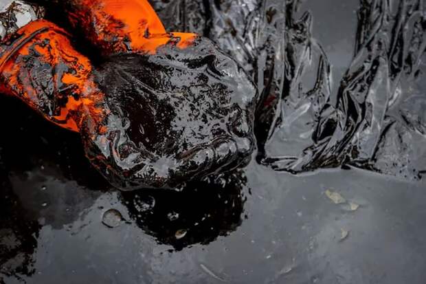 В России создали первый в мире реагент для ликвидации нефтеразливов в тропиках