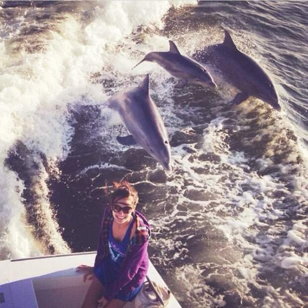 4. "Плавали мы на лодке, я позировала для фотографии - и тут позади меня три дельфина как выпрыгнут из воды! Удачный снимок получился" доказательства, невероятно., пруф, случаи из жизни, фото юмор смешные истории, фото юмор