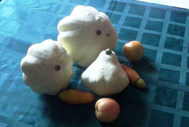 Cucurbita pepo var. patisson на столе Cucurbita pepo var. patisson на столе