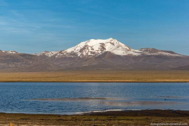 Sajama30 Национальный парк Сахама
