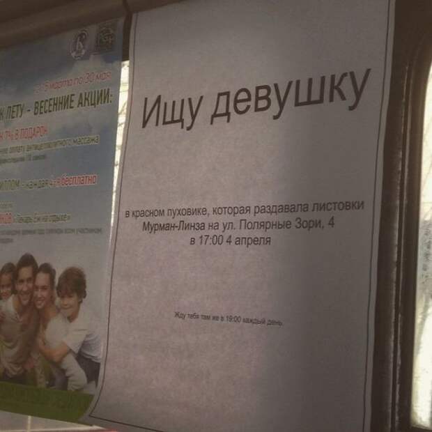 Объявление ищу девушку
