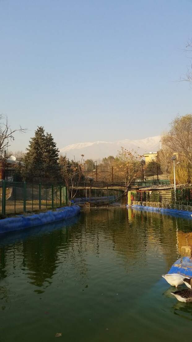 городской пейзаж из типичных...